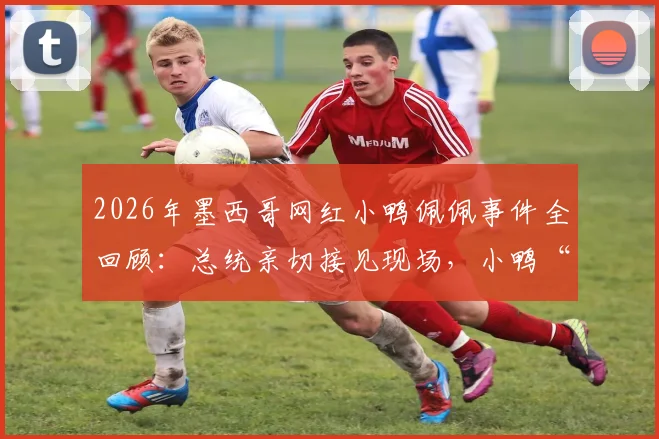 2026年墨西哥网红小鸭佩佩事件全回顾：总统亲切接见现场，小鸭“攻击”举动引热议