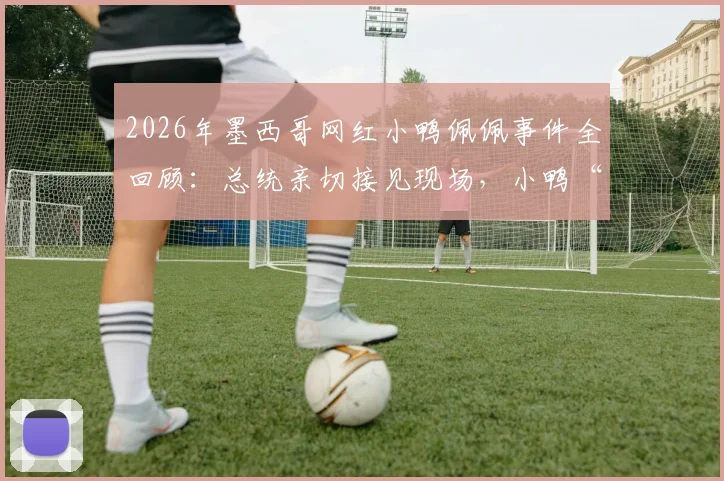 2026年墨西哥网红小鸭佩佩事件全回顾:总统亲切接见现场,小鸭“攻击”举动引热议