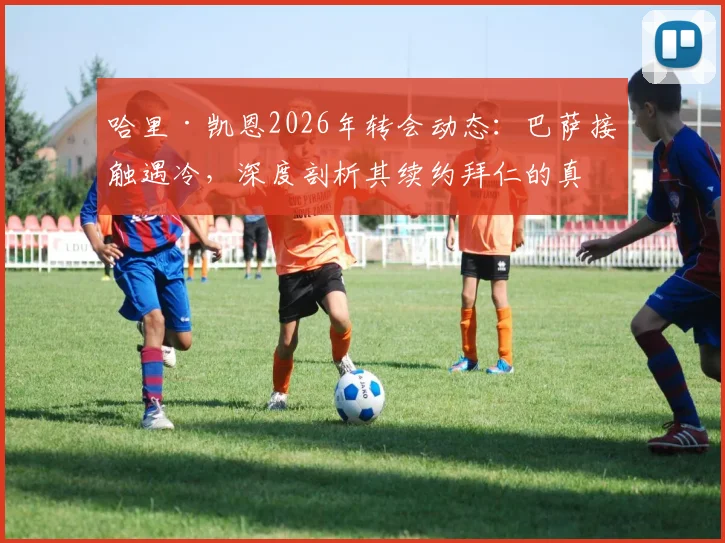 哈里·凯恩2026年转会动态：巴萨接触遇冷，深度剖析其续约拜仁的真实考量与替代者名单